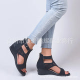 Breakj Spring And Summer New Shoes Large-Size Women's Shoes Coarse Heel Heel Shoes Hollow Fish Mouth Sandals