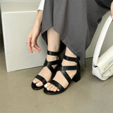Sandals Women's 2024 Spring New Open-Toe Belt Combination Rear Zipper Bag With Thick Heels And High