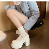 Breakj Thick Heel With A Small Leather Shoes Women 2025 Winter New Thick-Sed Retro English Style Mary Jane Single
