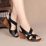 Breakj Summer New Fish Mouth Toe Fashion Roman High-Heeled Sandals Women Thicke Middle-A-Year-Old Mother