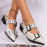 Breakj Mary Jane Single Shoes Women's Back High Heels 2025 New Coarse Heel Belt Buckle Rivet