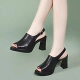 Breakj Cool Boots Women Summer New Sandals Women Thick Fashion Trend Fish Mouth High Heel Sandals Behind The Empty