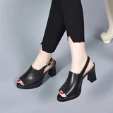 Breakj Cool Boots Women Summer New Sandals Women Thick Fashion Trend Fish Mouth High Heel Sandals Behind The Empty