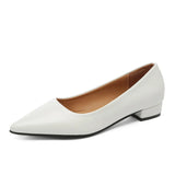 Pointed, Shallow Mouth, Square Heels, Women's Business, Leisure, Elegant Commuter Shoes, Fashionable High Heels, Four