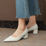 High-Heeled Women's 2023 New Women's Shoes Mary Jane Small Leather Shoes Thick Heel Women's Shoes French Professional Single