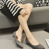 Bird Spring New Korean Version Fine Heel Suede Tip Low Heel Single Shoes Women Small Heel Large Size Black Work Shoes