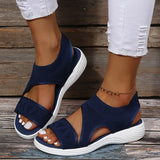 Breakj Slippers Women's 2023 Summer New Thick Bottom Slope With Fish Mouth Mesh Breathable Lady Wearing