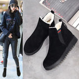 Add Warm Cotton Boots 2023 Korean Cotton Shoes Women's Fashion Platform Women's Big Cotton