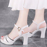 Heel Sandals 2023 Summer New White High Heel Women's Shoes Fashion Versatile One Word Buckle In The Heel Fish Mouth Shoes