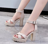 Summer Sandal Shoes for Women 2021 New Arrival Sexy Peep Toe Thick Heels Sandals Platform Casual Russian Shoes