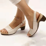 Breakj 2023 Summer Fish Mouth Beach Women's Sandals Large Size Women's Shoes 41-43