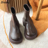 Winter Round Toe Women Ankle Boots Fashion Thick Heels Platform Ladies Eelgant Short Boots Female Back Zipper