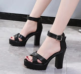 Summer Sandal Shoes for Women 2021 New Arrival Sexy Peep Toe Thick Heels Sandals Platform Casual Russian Shoes