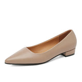 Pointed, Shallow Mouth, Square Heels, Women's Business, Leisure, Elegant Commuter Shoes, Fashionable High Heels, Four