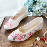 Breakj Shoes Single Shoes Fashion Embroidered Cloth Shoes With A Cheongsam Pedal Women's Shoes Spring And Autumn National