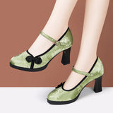 New Chinese Cheongsam Walking Shoes Retro Single Shoes High Thick Heels With Chinese Style Horse Dress Shoes