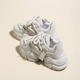 Breakj 2023 New Simple Net Red Soft Bottom Dad Shoes Thick Bottom Small Tall Muffin Casual Shoes High