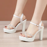 Thick-Heeled, Open-Toed Water-Drilled Sandals Women's 2023 Summer New Thick-Soled Waterproof Platform With Large-Size