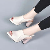 Breakj Cool Boots Women Summer New Sandals Women Thick Fashion Trend Fish Mouth High Heel Sandals Behind The Empty
