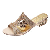 Female 2023 New Thick Heel Open Toe Women's Shoes Hollow Out Diamond Wear High Heel Cool