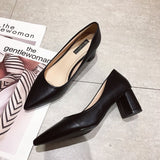 Breakj Version Of Spring Autumn New Thick Heel Single Shoes Female Pointed Head Shallow Mouth Temperament Professional Pure Color High Heels Female Fashion Ladle