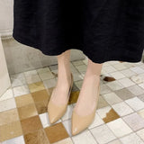Breakj Versatile Patent Leather High Heels Fashion Fine Heel Pointed Single Shoes Working Shoes Women's