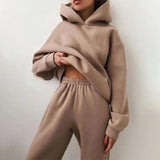 Elegant Solid Sets For Women Warm Hoodie Sweatshirts And Long Pant Fashion Two Piece Sets