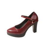 Breakj Mary Shoes Fashion Spring And Autumn Mid-Fashion Fashion Thick Heel Tip Buckle Waterproof Table Printing Surface