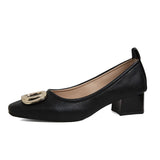 Square Heels Women's 2023 Spring And Autumn New Professional Work Shoes Temperament Fairy Style Single Women's Thick
