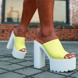 Chunky Heel Mules Sandals For Women Fashion Slip On Super High Heels Fashion Sexy Outdoor Slipper Brand New 2022