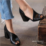 Breakj Fish Mouth Coarse Heel Sandals Women's New British Wind Side High Heel Single Shoes