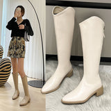 Knee Boots Women's 2024 New British Pointed V Mouth Western Cowboy Boots Thick Heels Show Thin Knight Boots In
