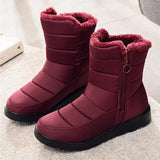 Women Boots Waterproof Plush Snow Boots Zipper Mid-Calf Boot Shoes Woman Leisure Flat with Botas De