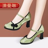 New Chinese Cheongsam Walking Shoes Retro Single Shoes High Thick Heels With Chinese Style Horse Dress Shoes