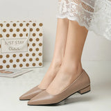 Pointed, Shallow Mouth, Square Heels, Women's Business, Leisure, Elegant Commuter Shoes, Fashionable High Heels, Four