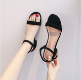 wild flat bottom Roman sandals woman summer open toe T word flat with wild breathable shoes for women sandalia
